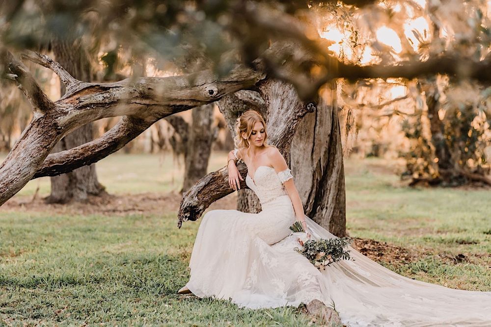 Rustic barn wedding in Myakka, Sarasota, Florida by Tampa and New England Wedding Photographer