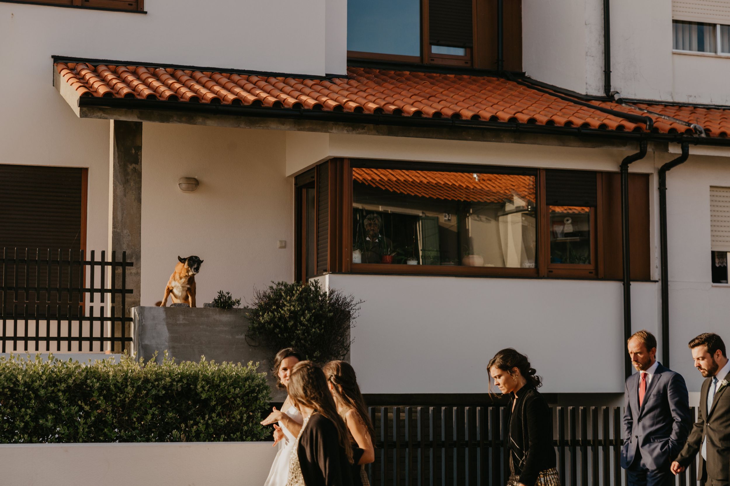 Diana Morais Fotografia de casamento em Viana do Castelo, Arcos de Valdevez, Ponte da Barca, Ponte de Lima, Braga