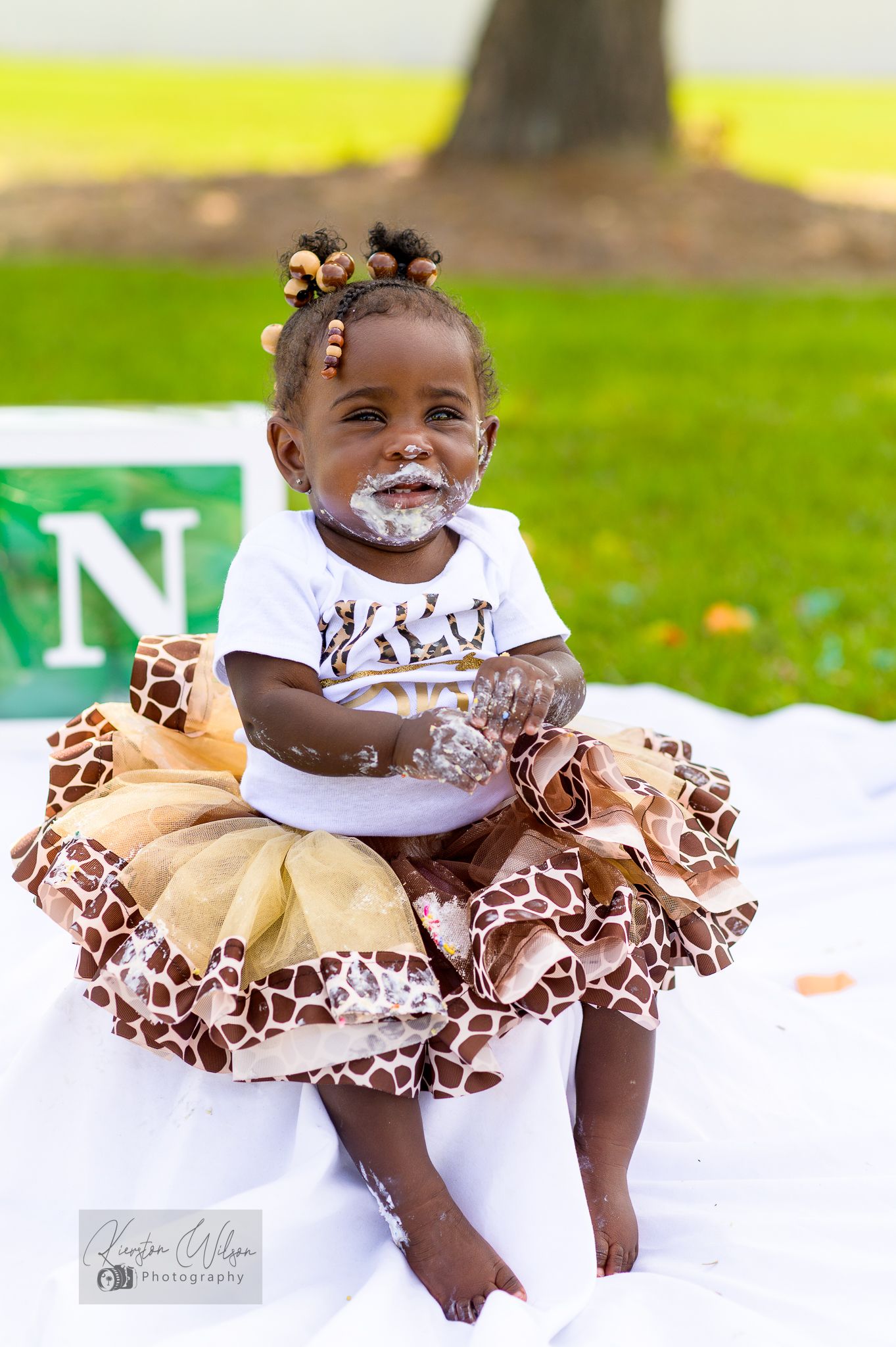 1st Birthday, Smash Cake
