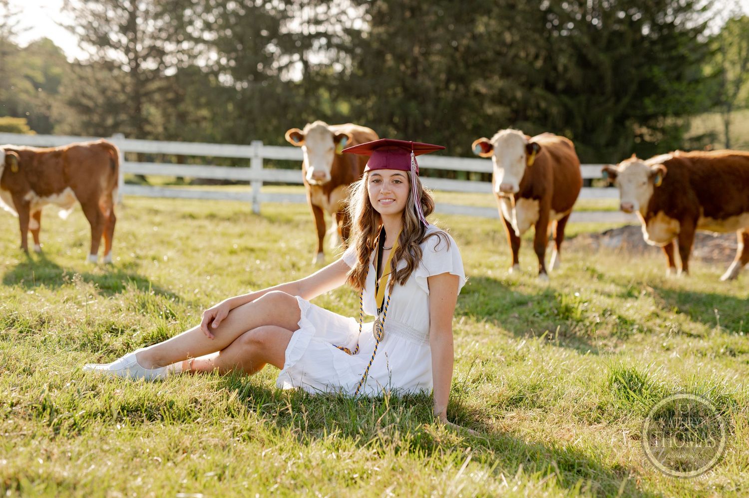 Graduate in red cap reclines in grassy field with Hereford cattle grazing behind white fence.