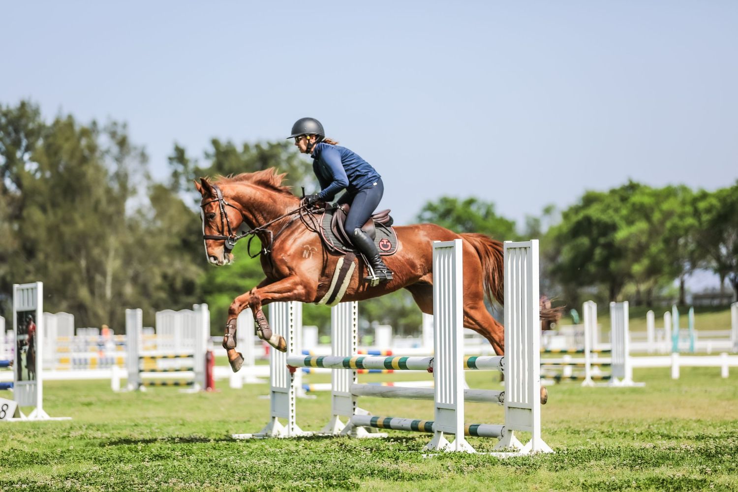 Equestrian photography.