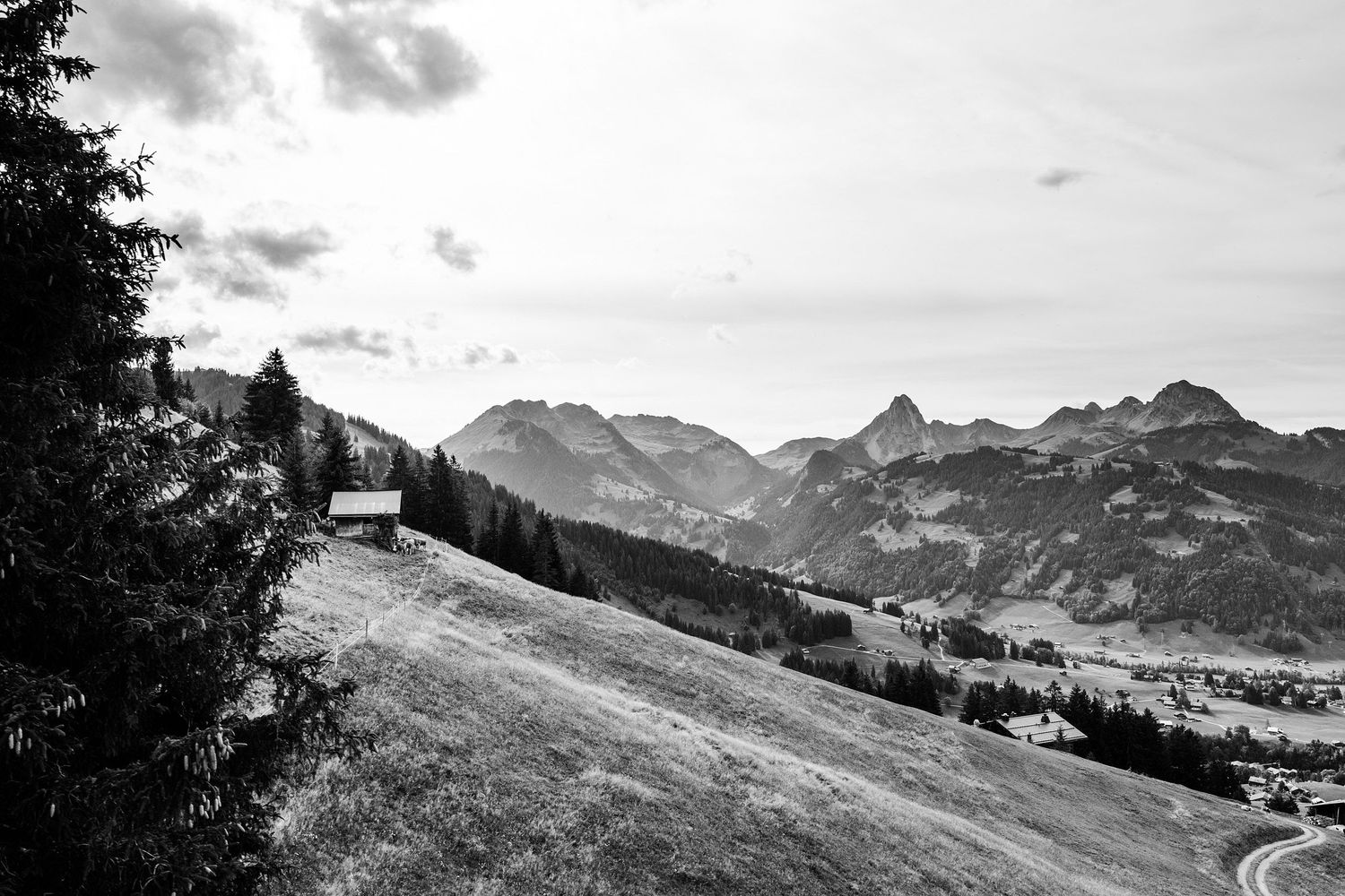 TLOOK photographe de mariage de style documentaire, Wasserngrat à Gstaad cérémonie