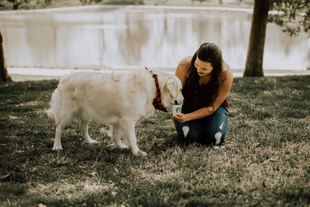 A fluffy white dog and companion enjoying quality time together by a lake.