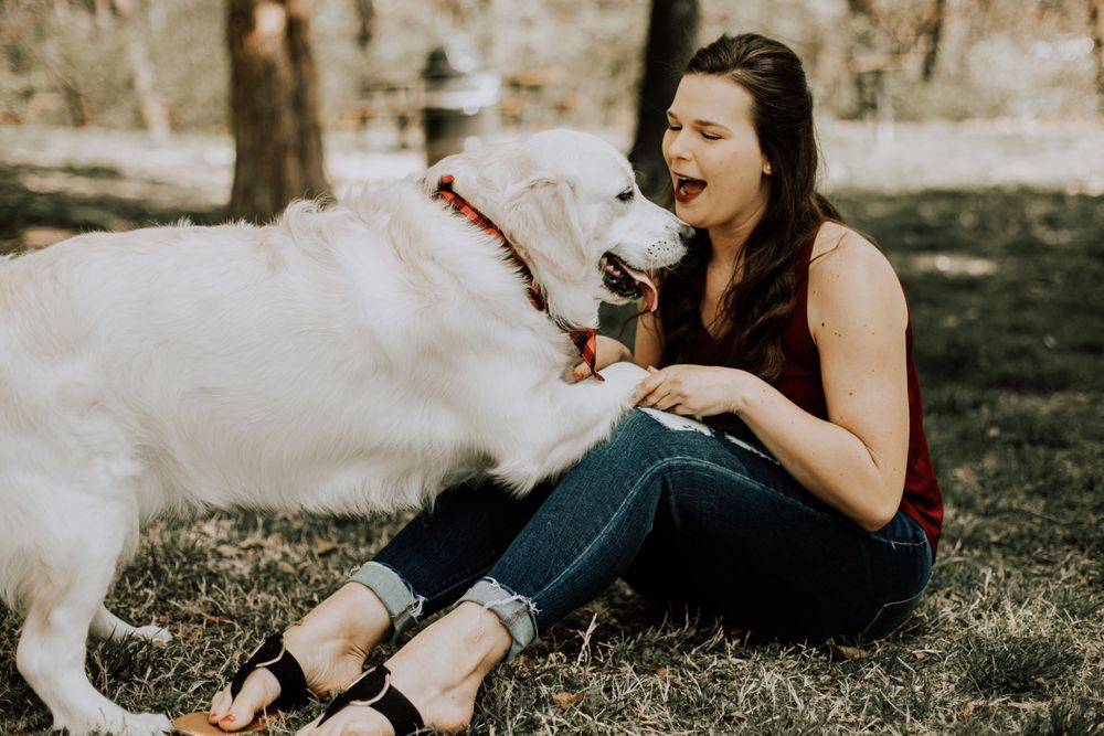 A relaxing afternoon in the park with a white dog and ice cream treats.