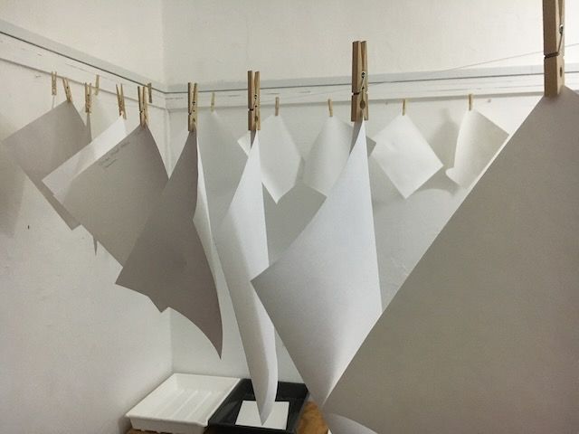 freshly sized paper for use in cyanotype printing in Logan C Thomas' barbados darkroom for QP Bistro