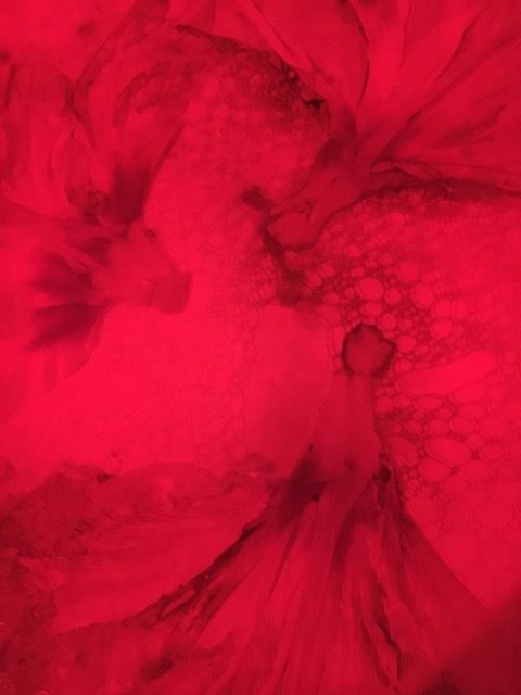 Babados photographer Logan C Thomas cyanolumen under the red light in his darkroom in Barbados