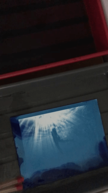 A cyanotype by fine artist Logan C Thomas barbados in an oxidisation bath blue underwater
