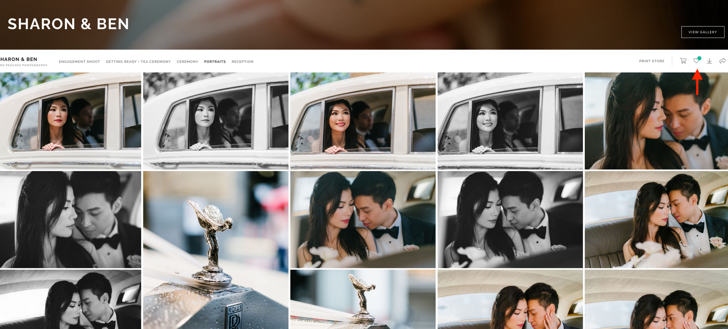 Sydney Wedding Photographer - Queensberry Wedding Album