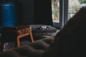 Moody interior shot of a dimly lit room with furniture and window light.