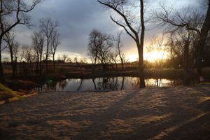 Panoramic sunset view of bare trees silhouetted against a dramatic cloudy sky.
