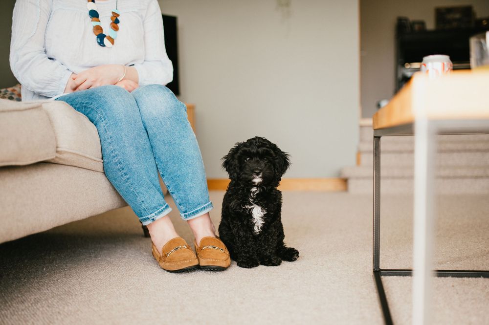 A black puppy sits beside someone wearing blue jeans and tan slippers on a light colored sofa.