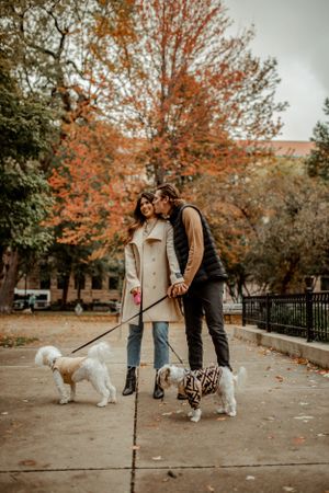 A couple enjoying an autumn walk with their two small dogs on a tree-lined path.