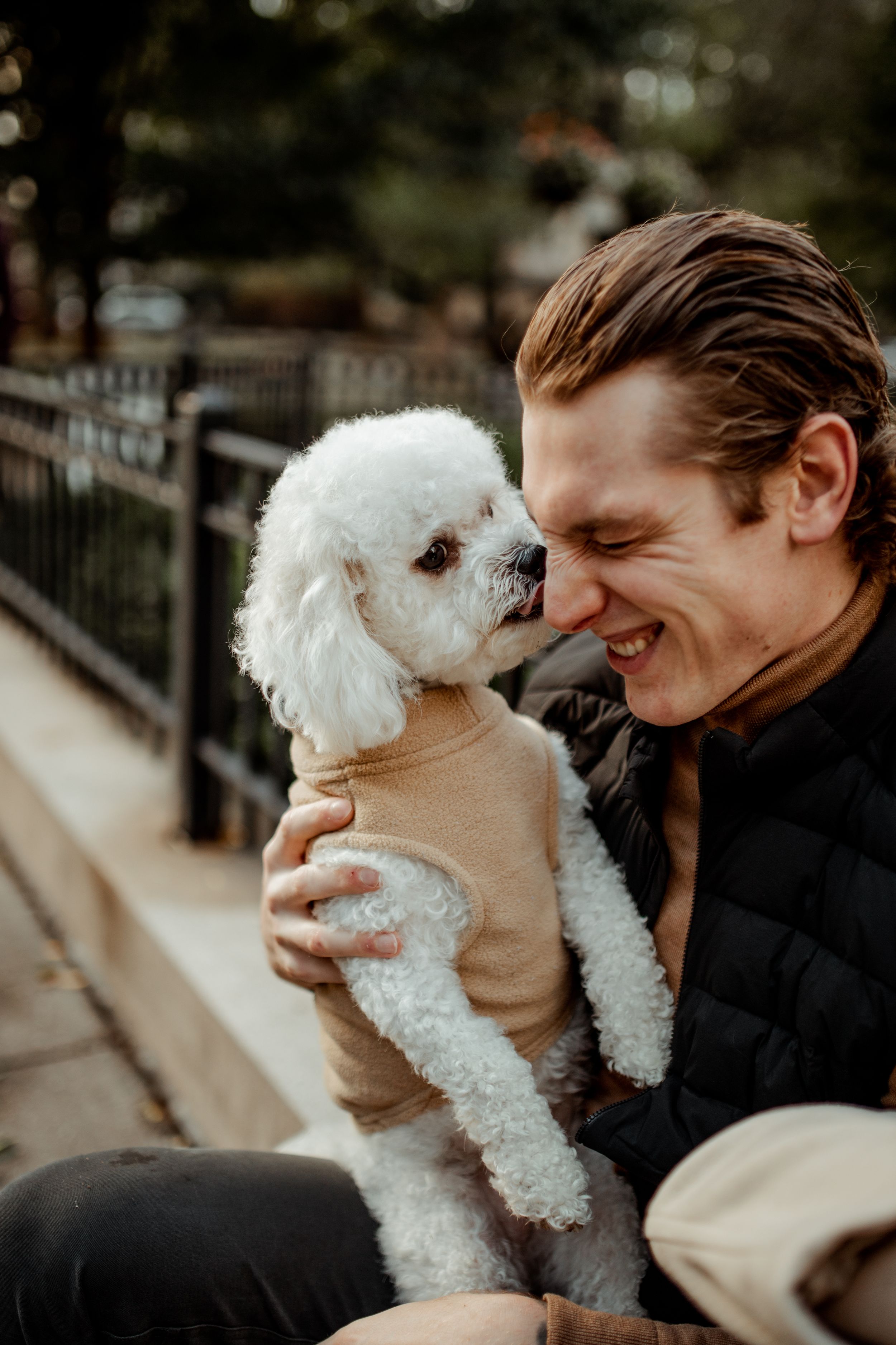 A white poodle in a sweater gives kisses during an autumn photoshoot.