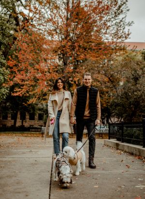 A couple walks their two small dogs along a path lined with orange autumn trees.