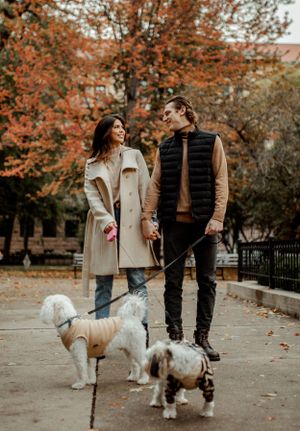 A couple walks their two dogs on leashes through a park with fall foliage in the background.