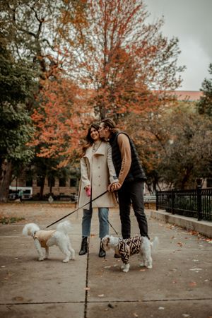 A couple walks their two dogs along a path surrounded by autumn trees in an urban park.