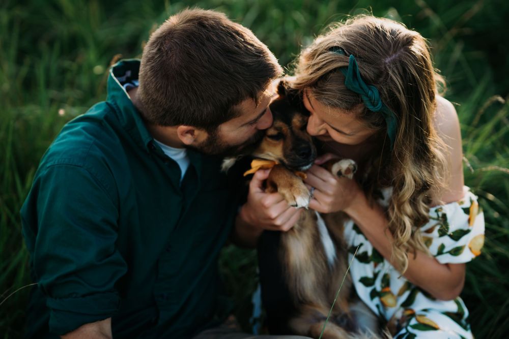 rescue couples photos Family pet photographer Cincinnati Ohio Dog photography Dayton Ohio