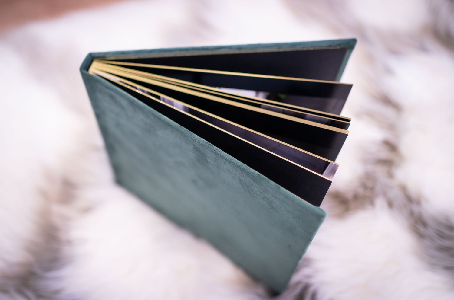 luxury blue album with gold gilding