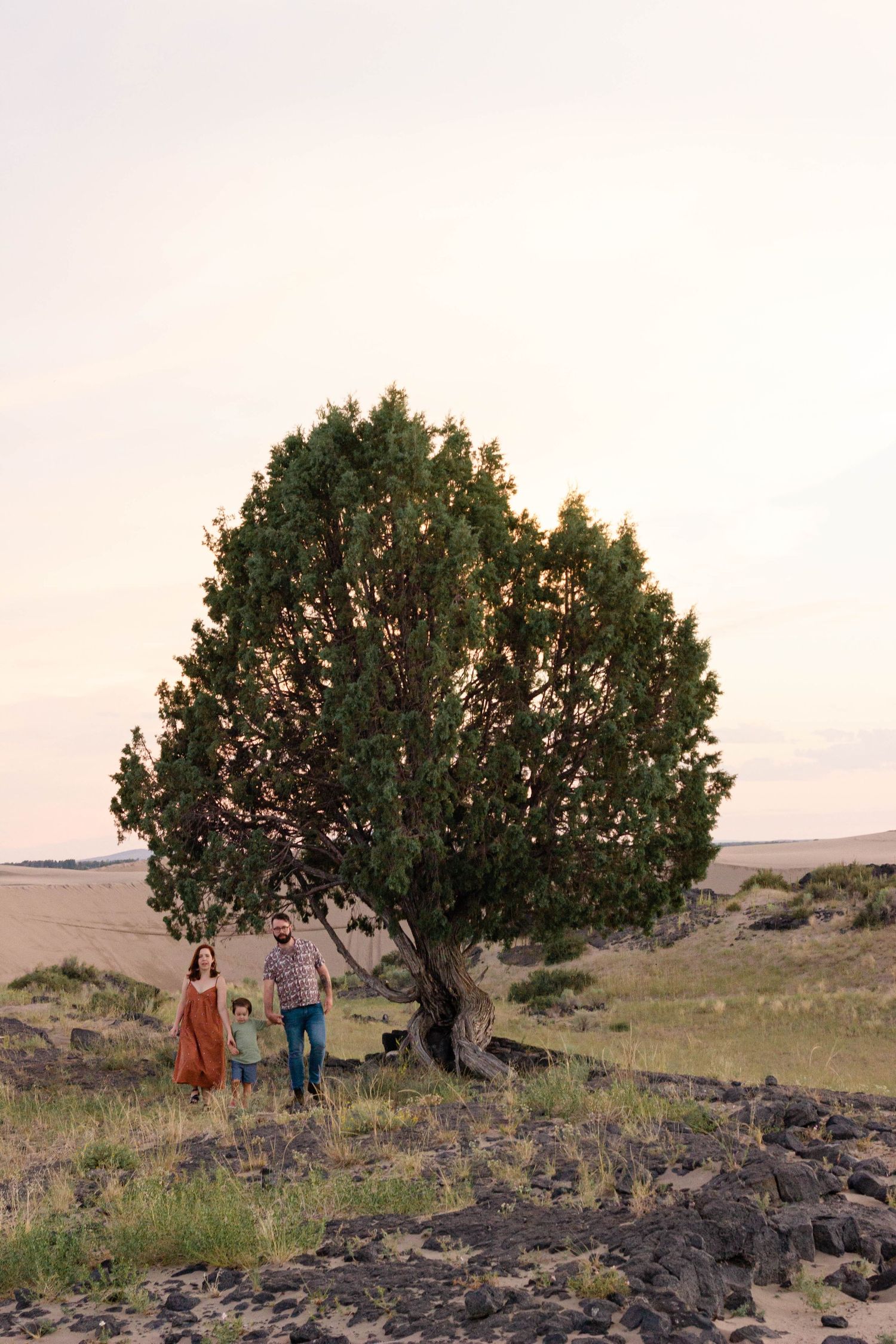 Sioux City, Iowa photographer. Family of three standing under large tree in open landscape at sunset.