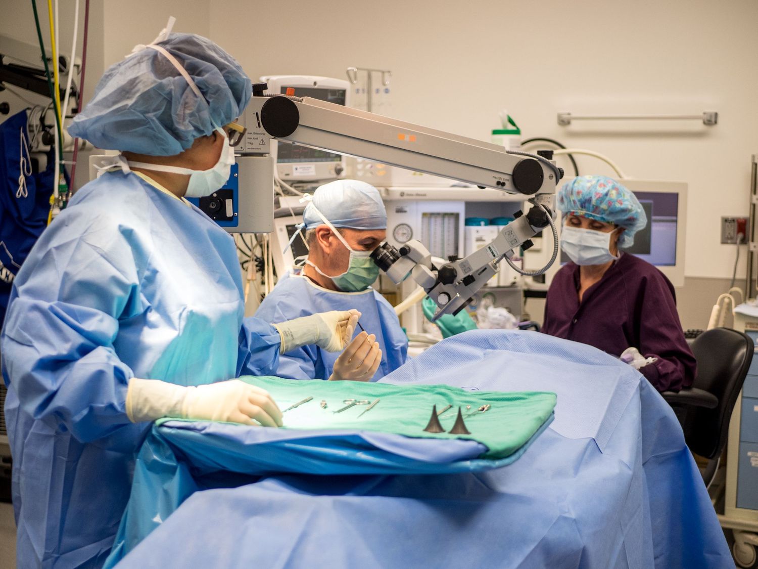 Image Source, Medical Photography