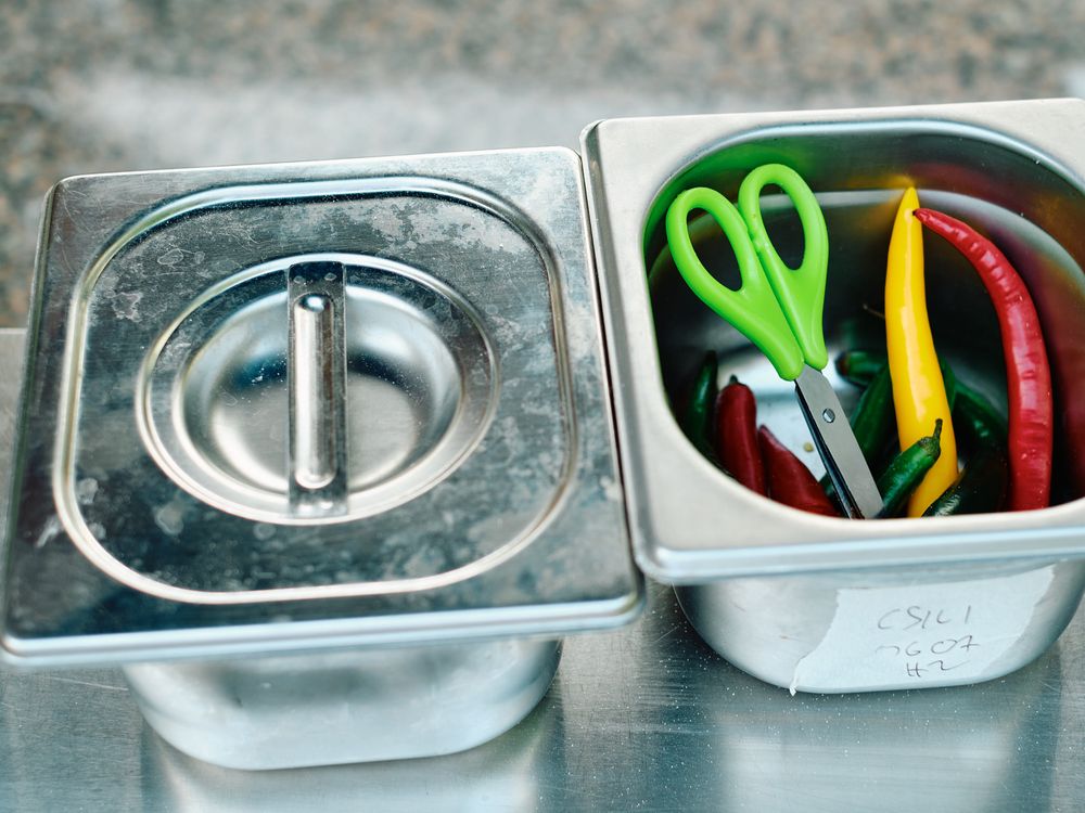 Kitchen organization with metal container holding colorful utensils and scissors.