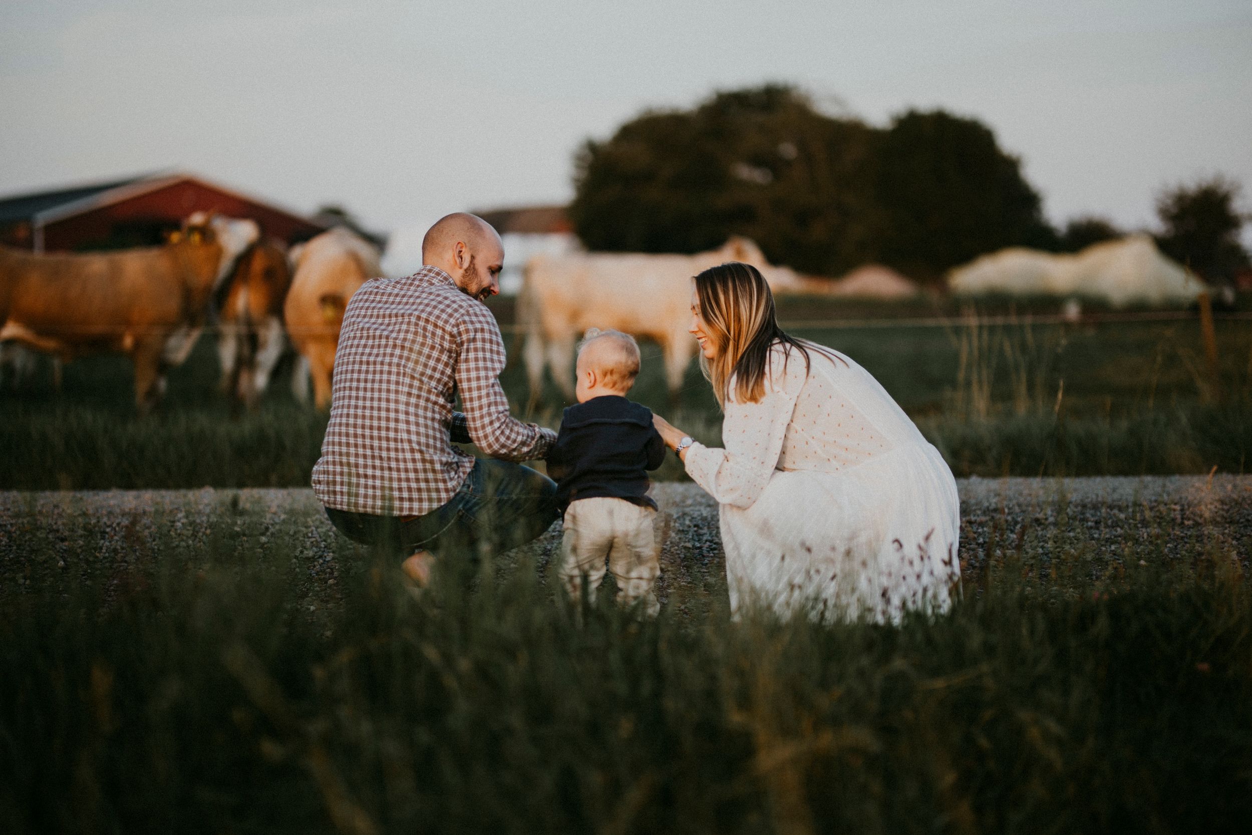 A family sits together in a field at sunset with horses visible in the background.