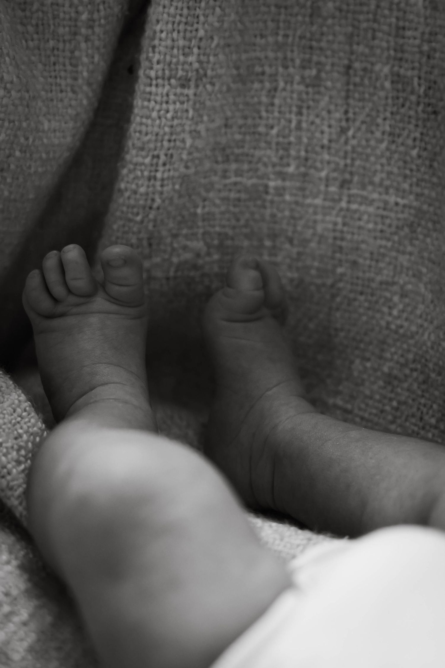 Close-up black and white image of tiny baby feet resting on textured fabric.