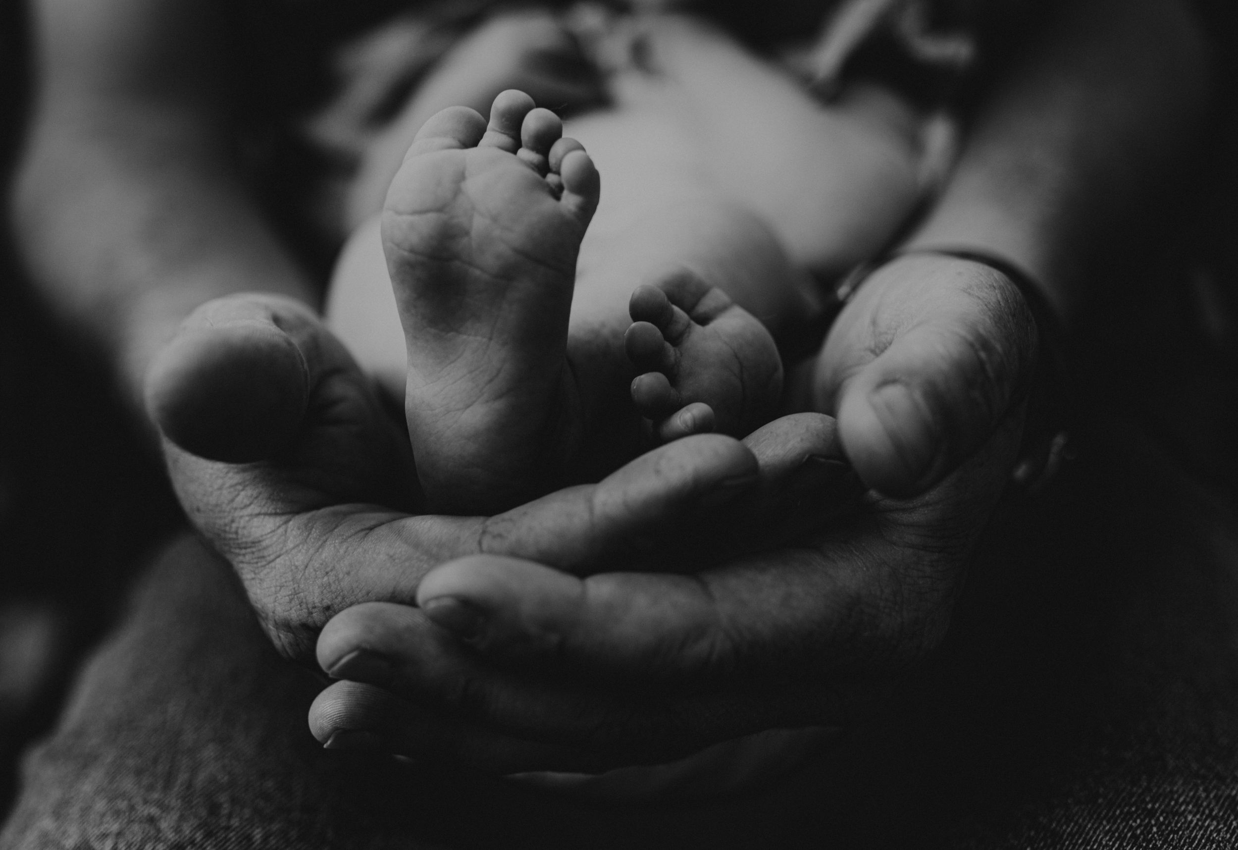 Intimate black and white close-up photographs showing hands gently cradling a subject.