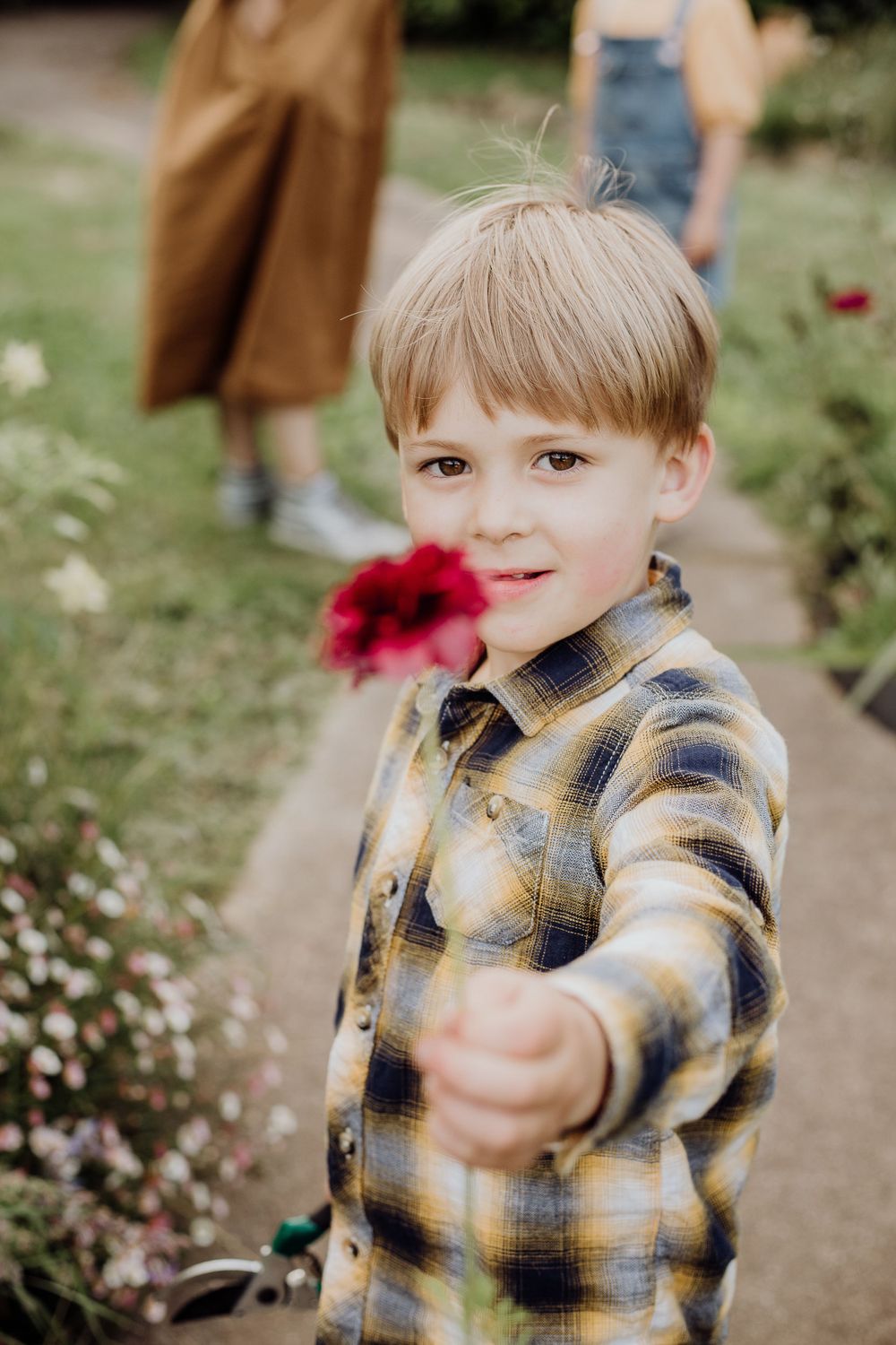 A young explorer in a plaid flannel shirt holds out a red flower while standing in a garden path.