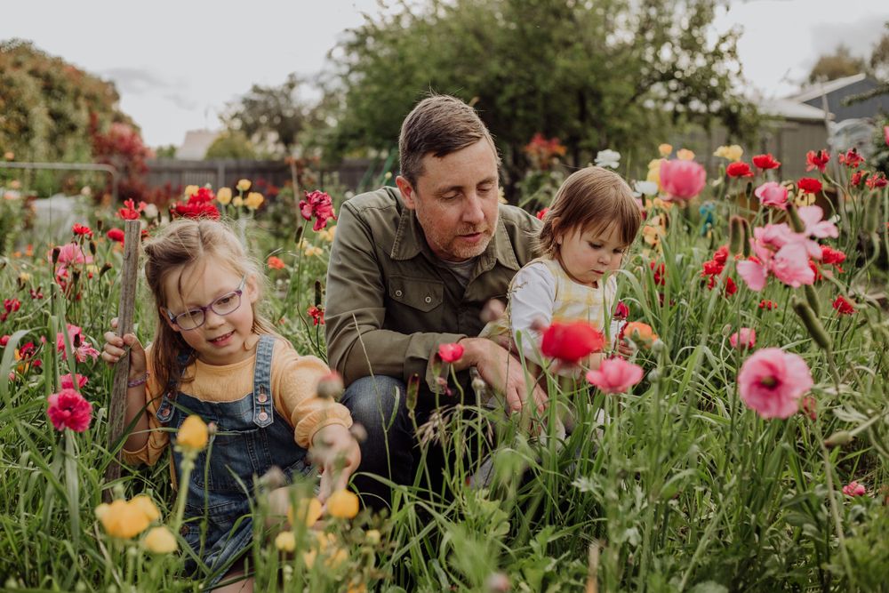 People explore a vibrant garden filled with pink and yellow tulips on a sunny day.
