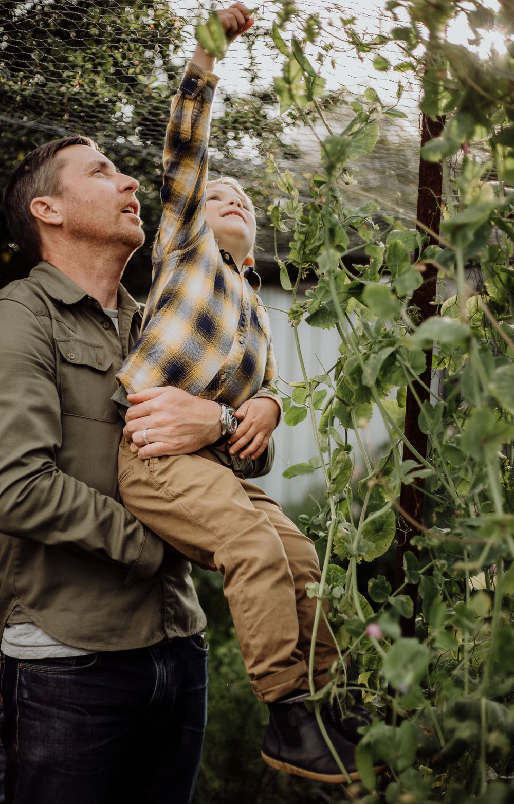Joyful moment in a garden as adult helps child reach up into climbing vines.