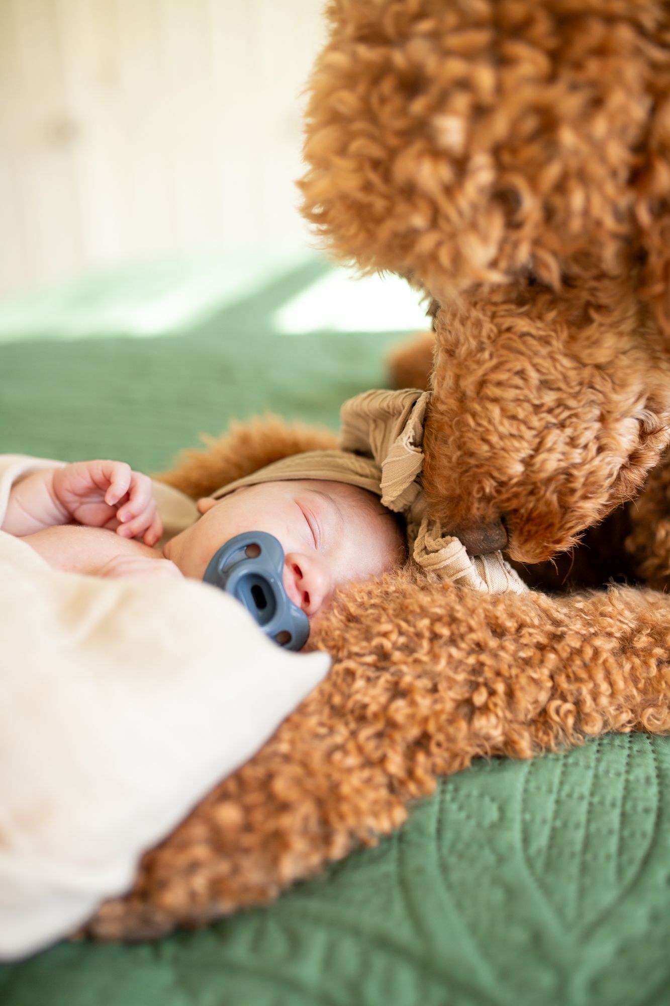 newborn and birth photography non posed near me viginia