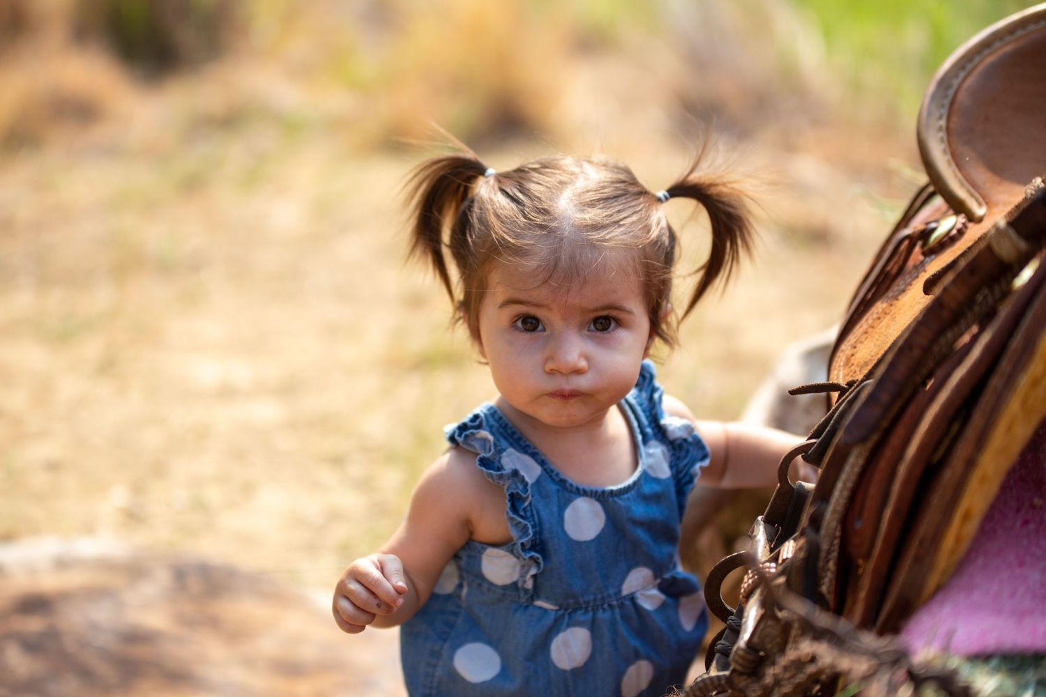 gunnii sack photography, best of calaveras, calaveras county photographer, calaveras county videographer