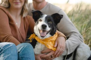 Couples, Pets, Dogs, Family