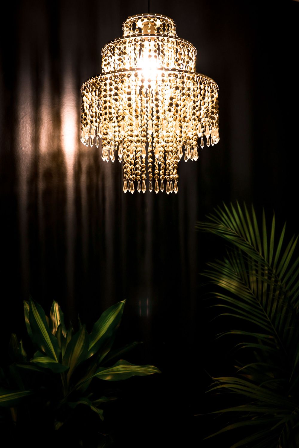 Crystal tiered chandelier glowing dramatically against dark wall with palm plants.
