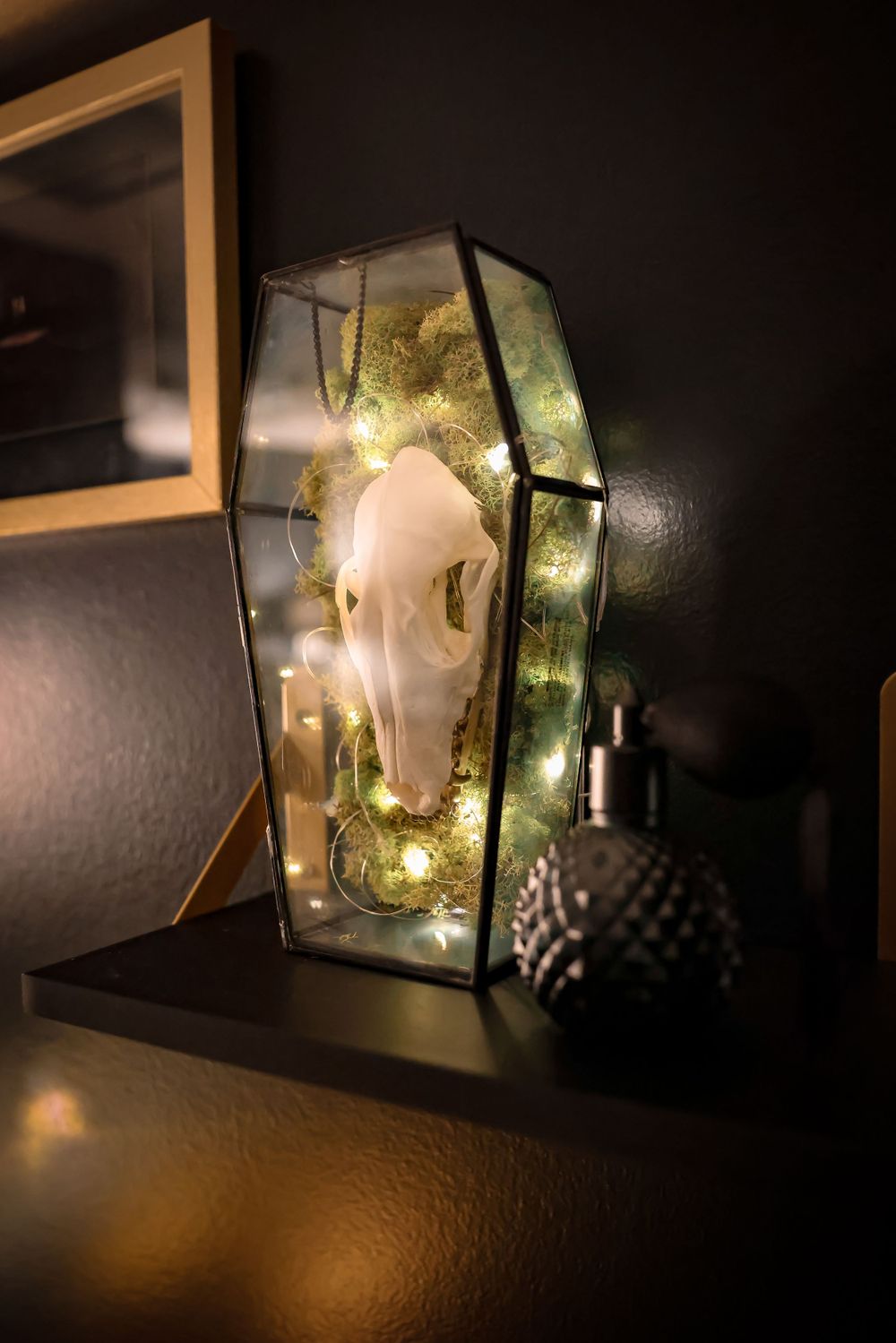 Illuminated terrarium with skull decoration and fairy lights in gothic style display.
