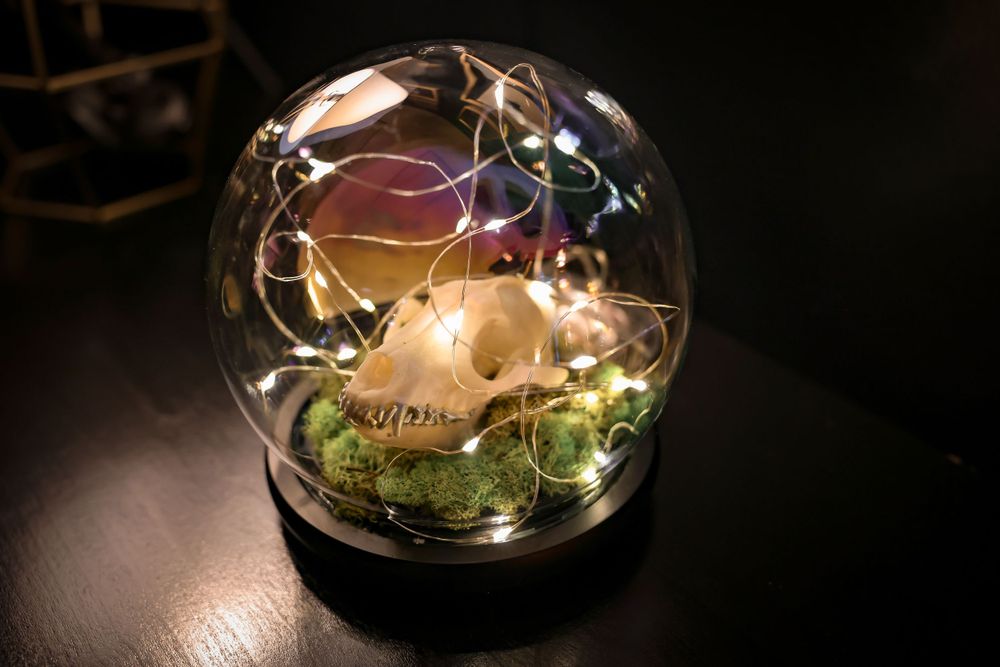 Glass terrarium with fairy lights creating a magical glowing atmosphere on a dark surface.