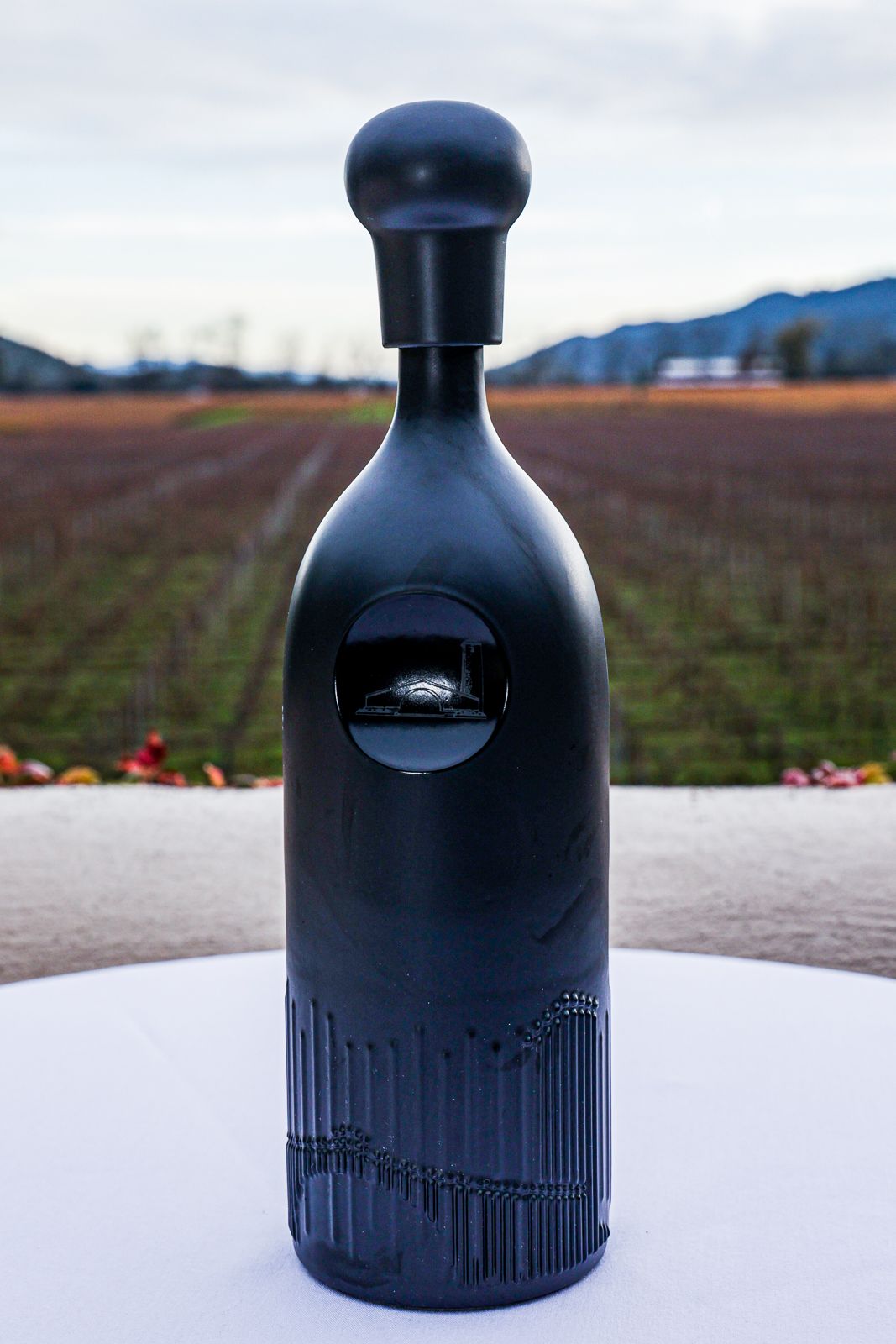 Sleek black bottle with circular window design stands in front of vineyard rows and mountains in background.