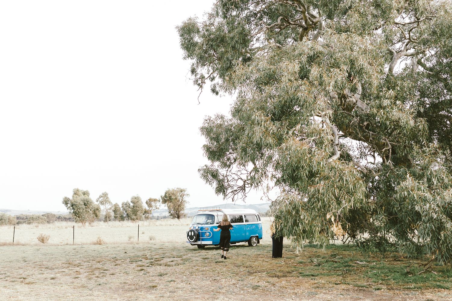 A bright blue vintage VW van parked beneath a large eucalyptus tree in a rural setting.