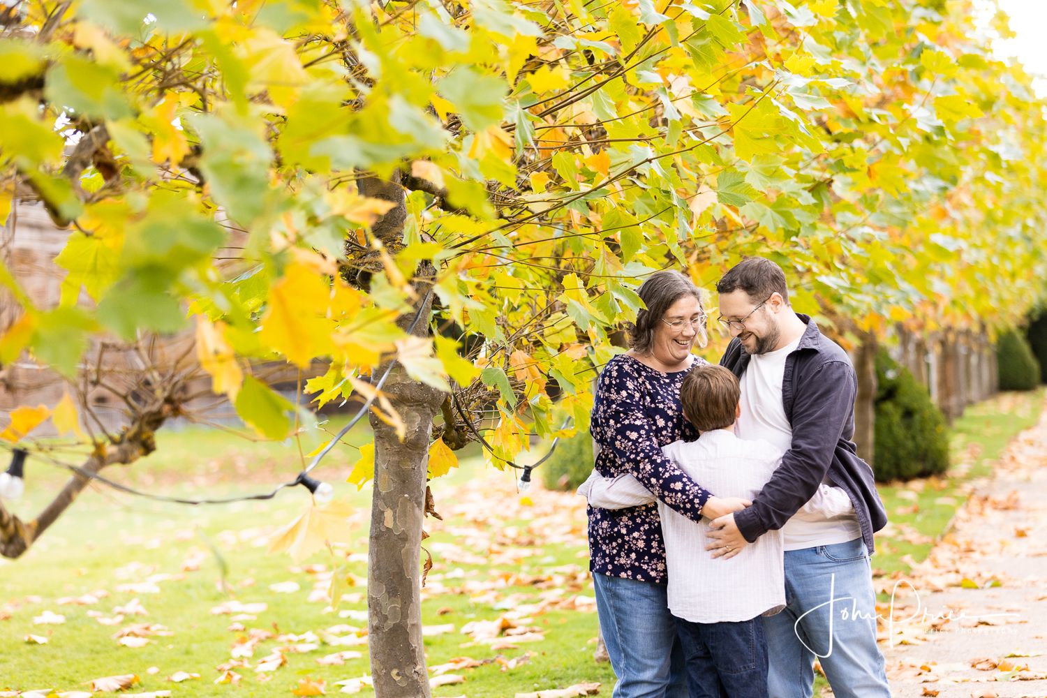 Family enjoying a tender moment beneath yellow fall trees as leaves flutter down around them.