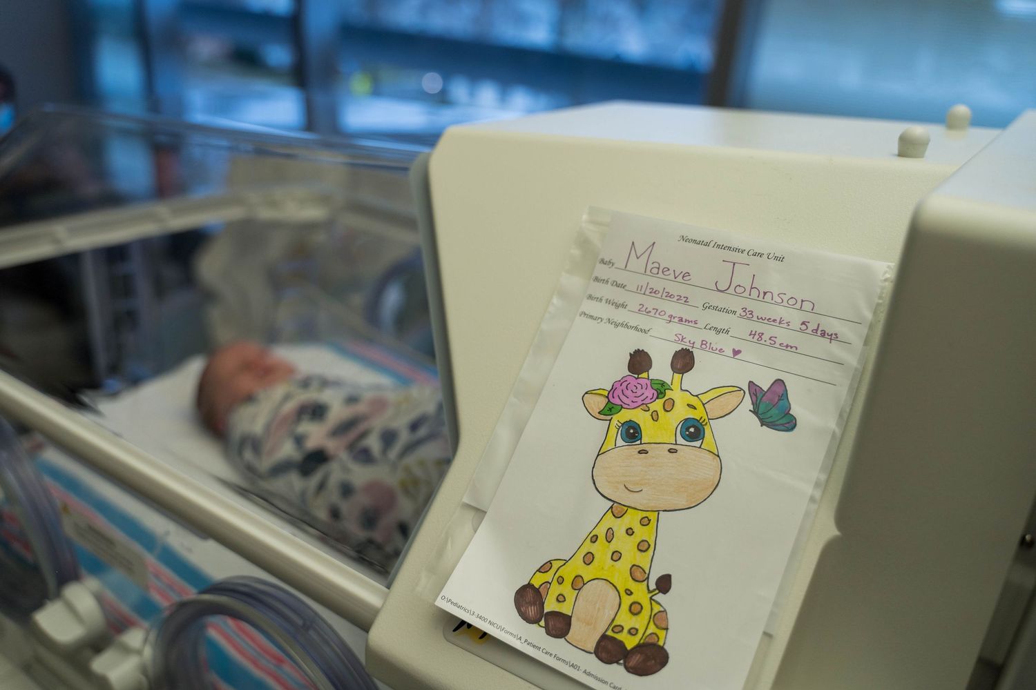 NICU Photos Rochester NY