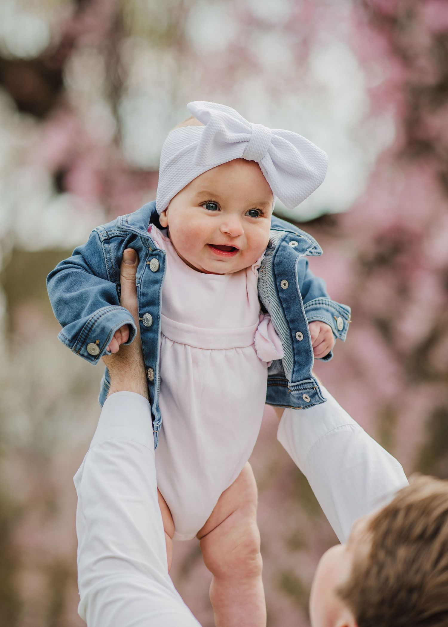 Small baby wearing white bow headband, pink dress and denim jacket being lifted up against blooming cherry blossoms.