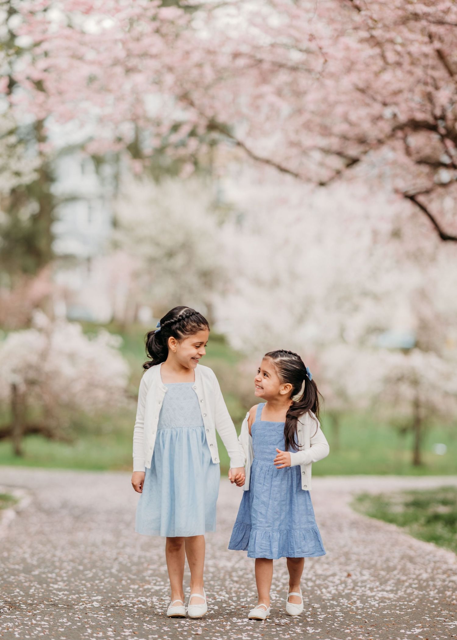 Two young children in matching blue dresses and white cardigans hold hands under blooming cherry blossoms on a spring path.