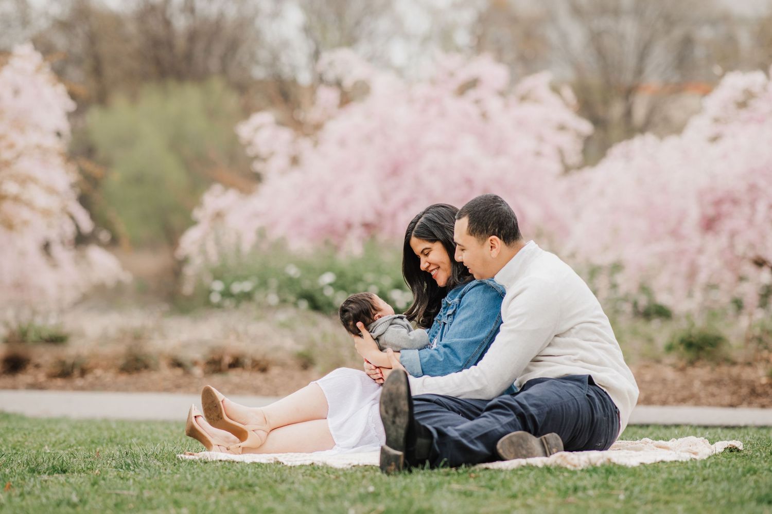 Three people sitting on a blanket in a park with blooming pink cherry blossom trees in the background.
