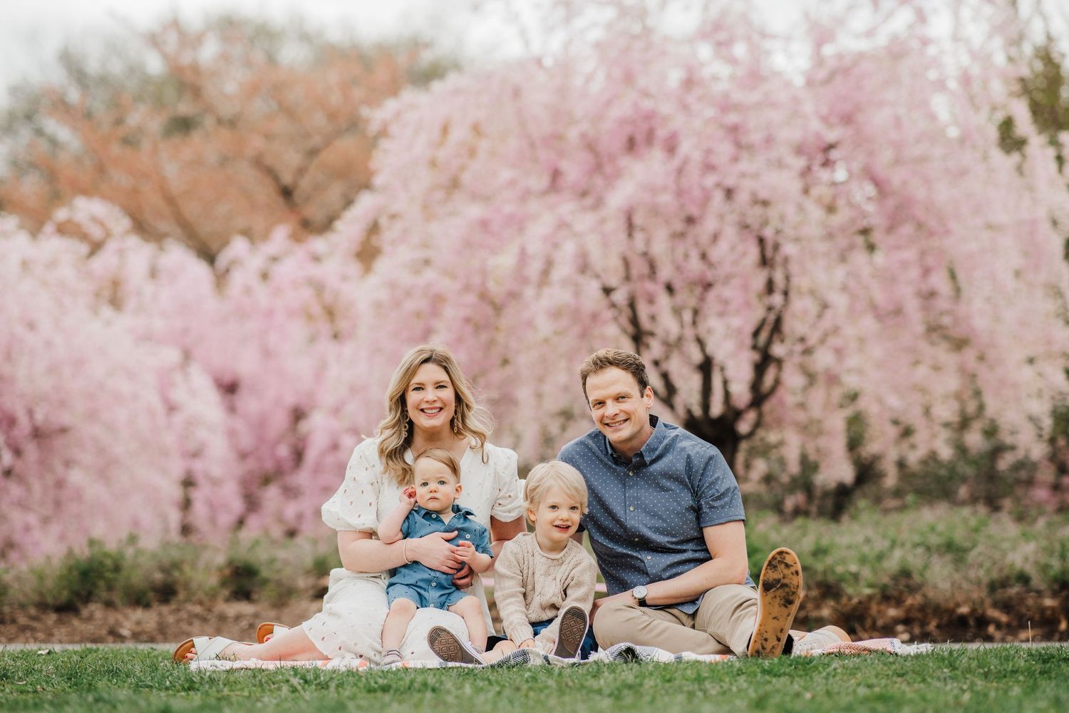A family sits together on grass with blooming pink cherry blossom trees creating a stunning spring backdrop.