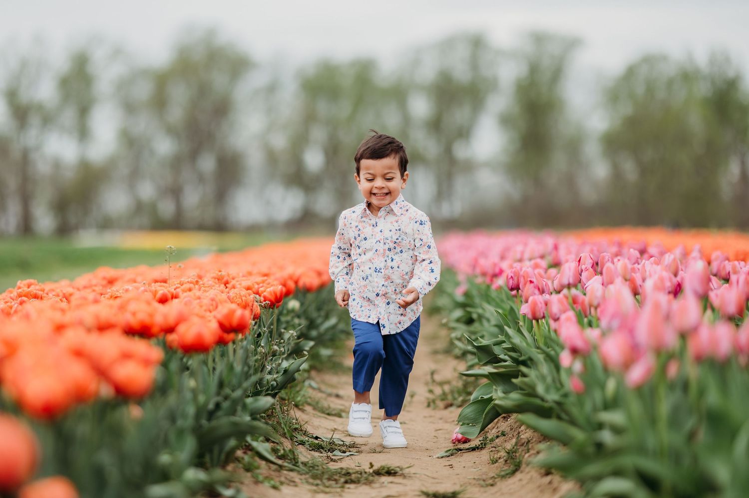 Joyful child runs between vibrant rows of orange and pink tulips in a springtime flower field.
