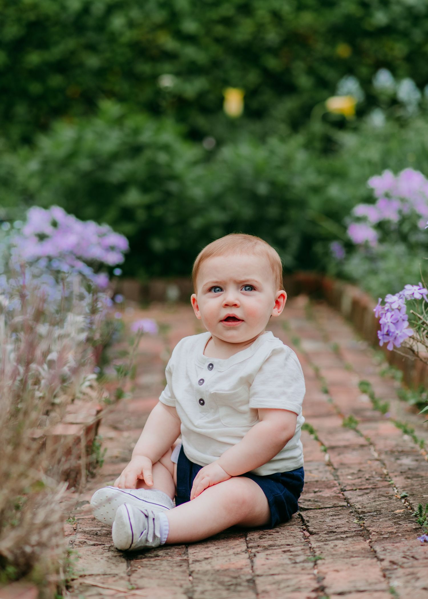 A small child sits on a brick path bordered by purple flowers in a garden setting in Morris county.