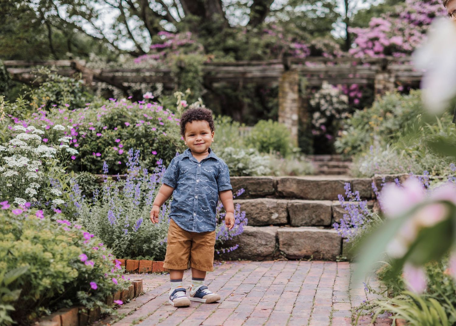 A charming garden scene with stone steps, brick pathways and blooming purple flowers in a lush summer landscape.