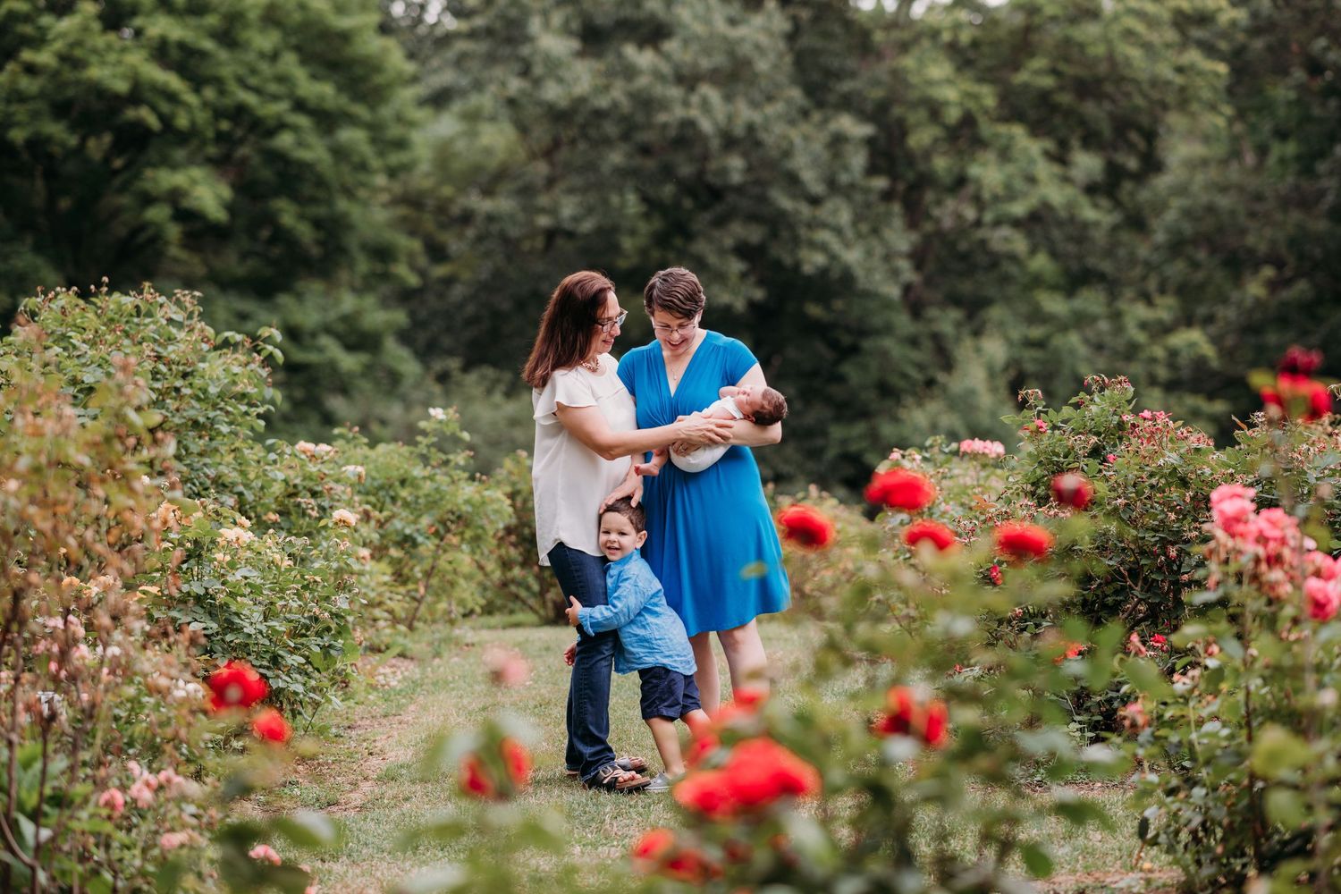 A family embraces together in a vibrant garden with blooming red and pink roses on a summer day in Brookdale Park Rose Garden.