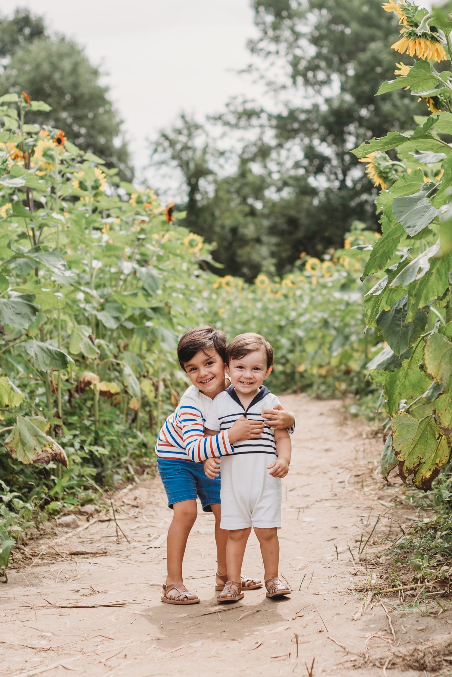Two small children share a sweet hug while standing on a dirt path among tall sunflowers in a garden at a Sussex County Sunflower farm.